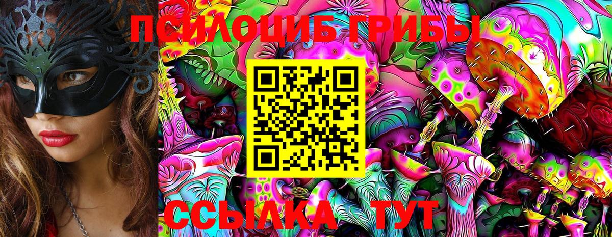 Галлюциногенные грибы прущие грибы Карталы