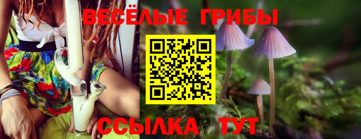 Галлюциногенные грибы Psilocybine cubensis  Псилоцибиновые грибы MAGIC MUSHROOMS  Карталы  Вход с VPN 