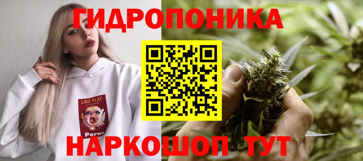 Бошки Шишки сатива Карталы